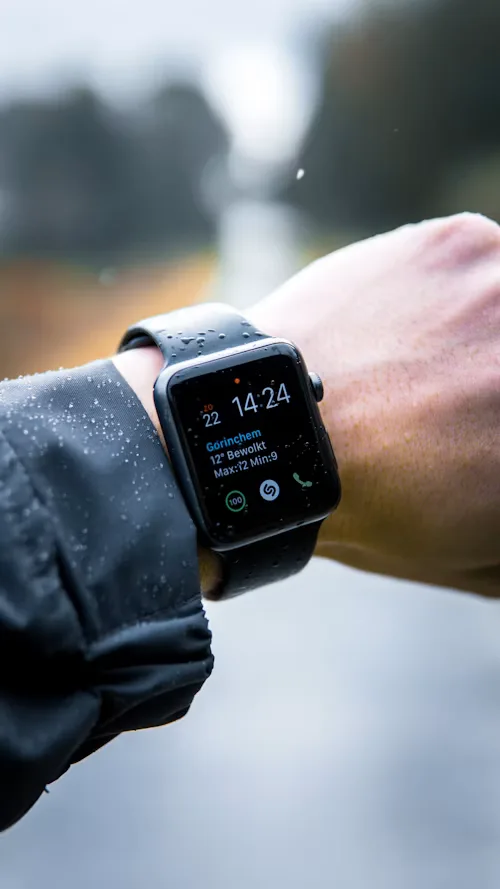 Smartwatches category
